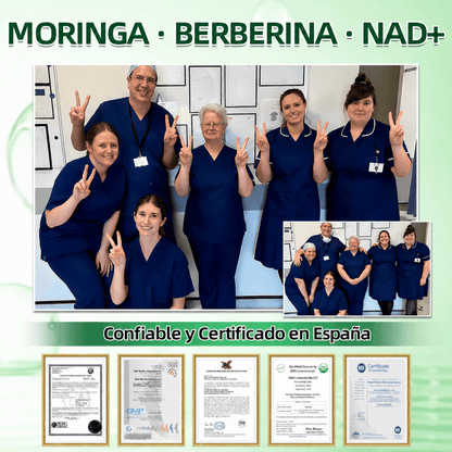 Parche avanzado de microagujas Glorenda® con moringa, berberina y NAD+ 10 en 1 Nano 🇪🇸